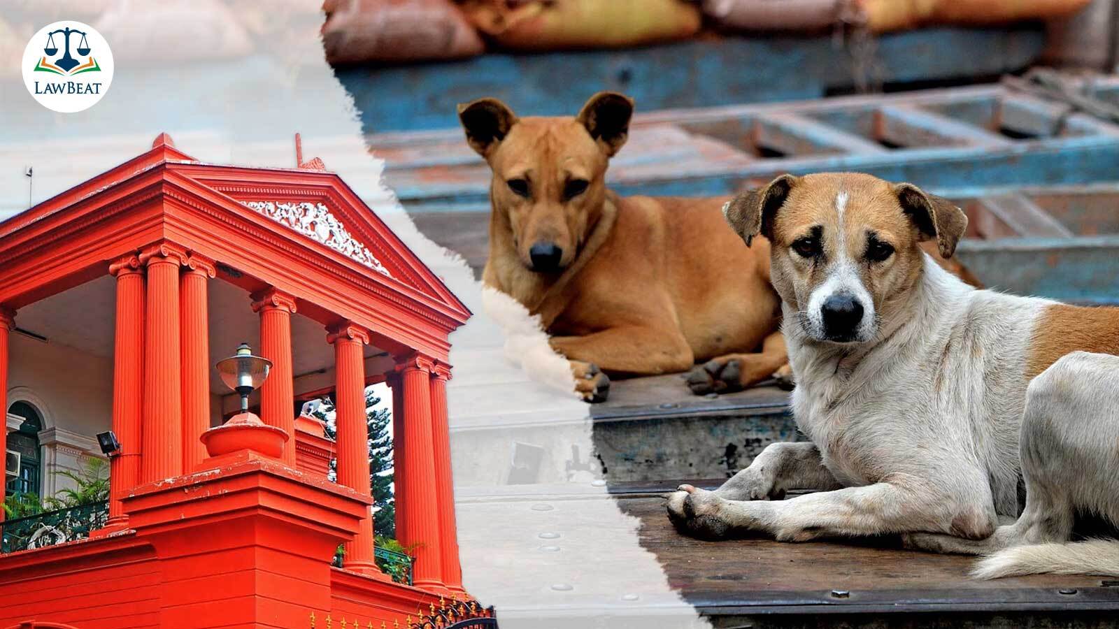 Karnataka High Court issues notice in PIL seeking prevention of violence against street dogs Karnataka High Court issues notice in PIL seeking prevention of violence against street dogs